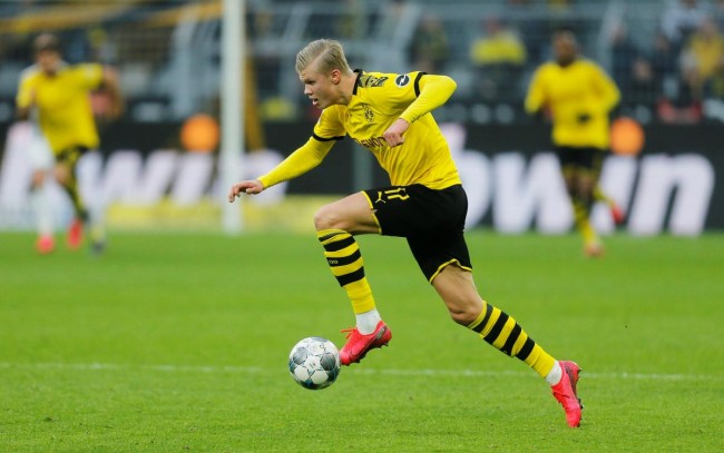 赫伊森畅游动物园，尽享亲近自然的乐趣（赫伊森漫游动物园，近距离拥抱自然之美）